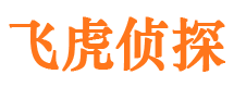 新建侦探公司